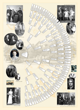 Fan Chart